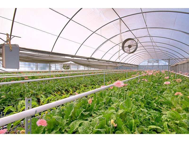 South Maroota NSW 2756