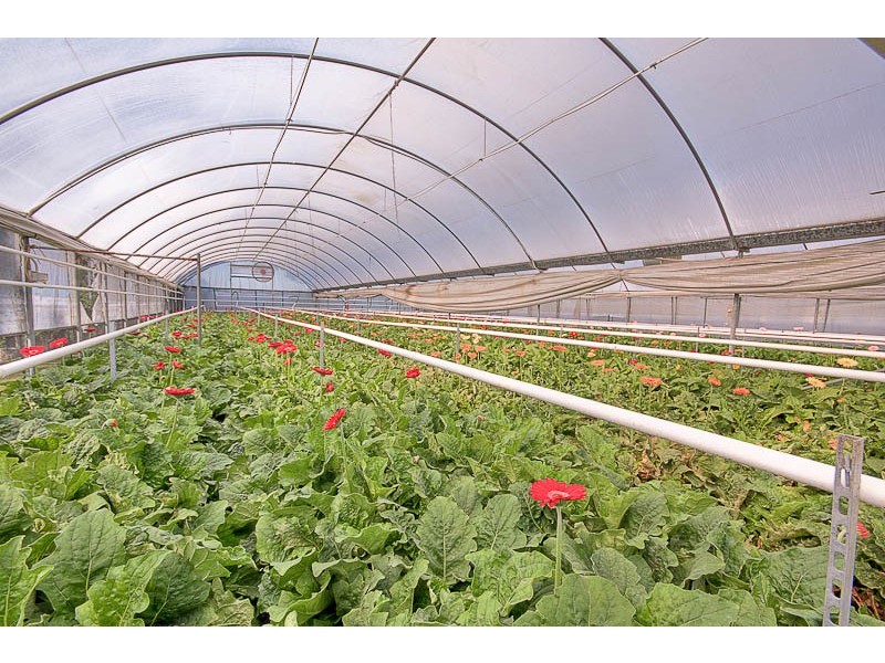 South Maroota NSW 2756