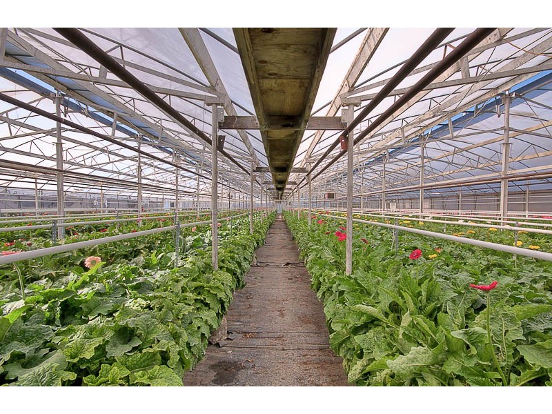 South Maroota NSW 2756