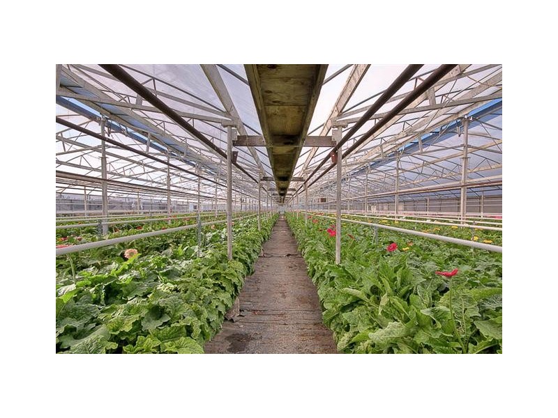 South Maroota NSW 2756