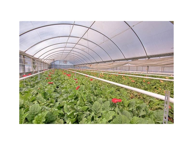 South Maroota NSW 2756