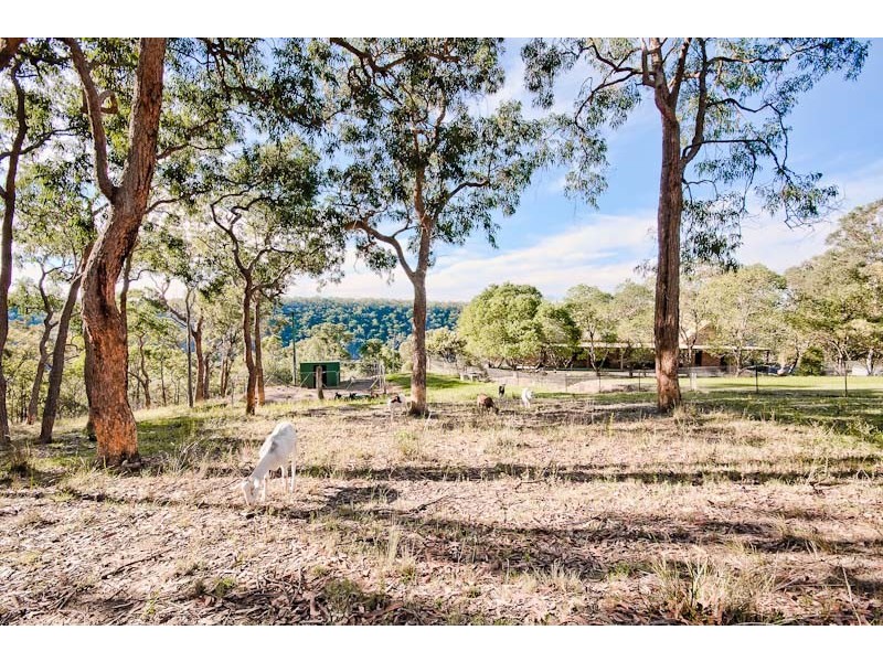 131 Mitchells Road, Sackville North NSW 2756