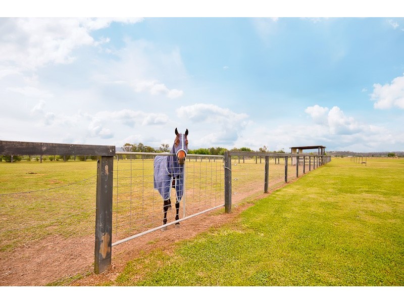 Agnes Banks NSW 2753