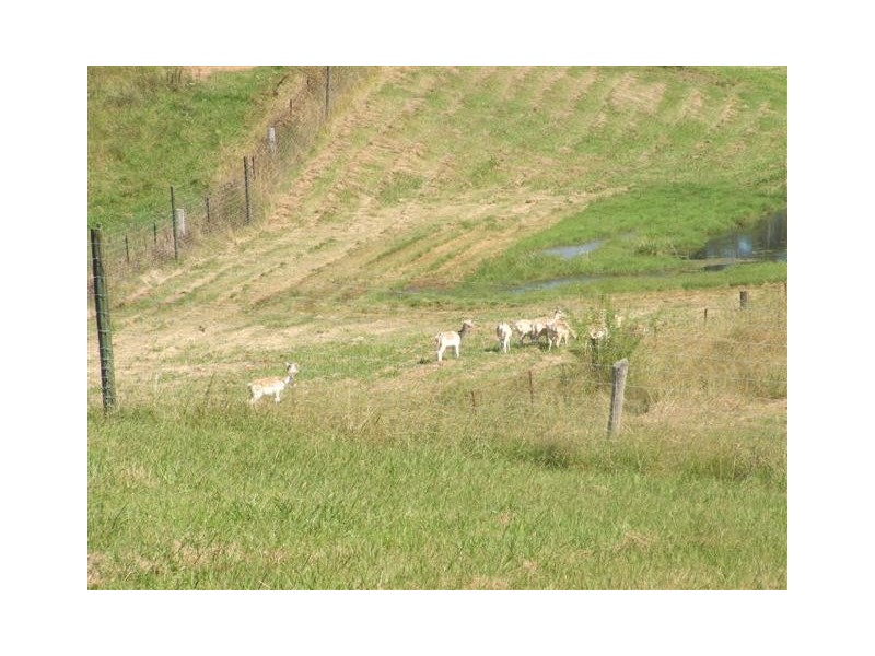 Freemans Reach NSW 2756