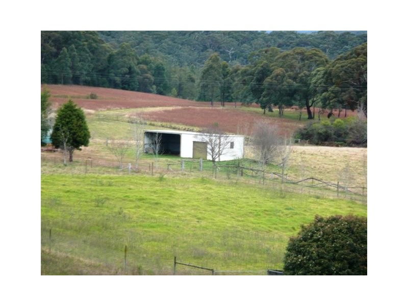 13  Hanlons Road, Bilpin NSW 2758