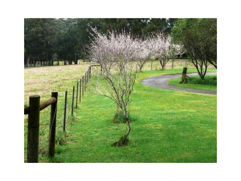 13  Hanlons Road, Bilpin NSW 2758