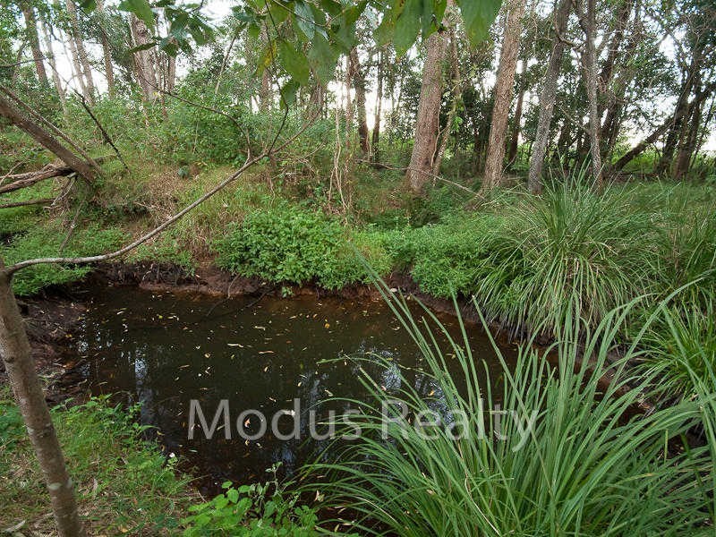 170 Gramzow Road, Cornubia QLD 4130