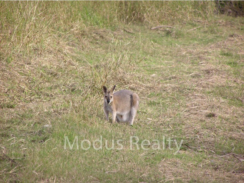 170 Gramzow Road, Cornubia QLD 4130