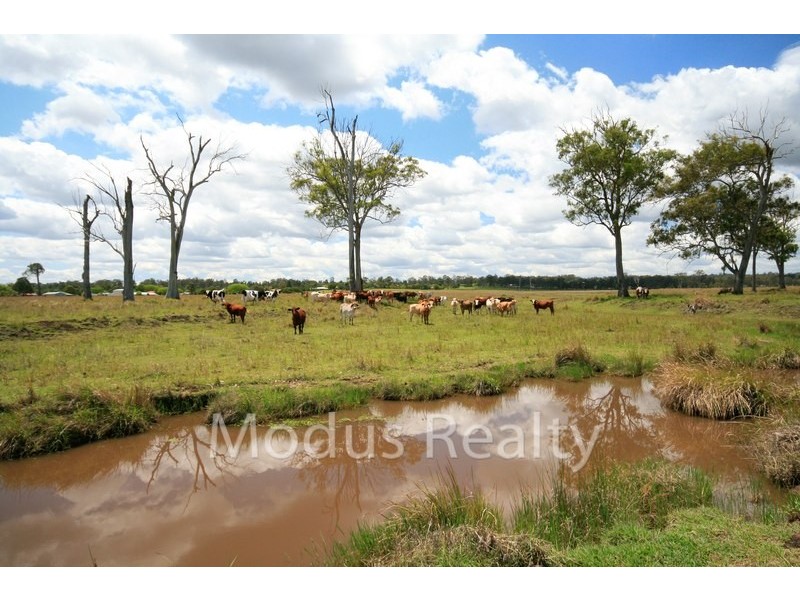 Cedar Grove QLD 4285