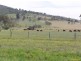 Lot 22, 22 Zabel Rd, Minden QLD 4311