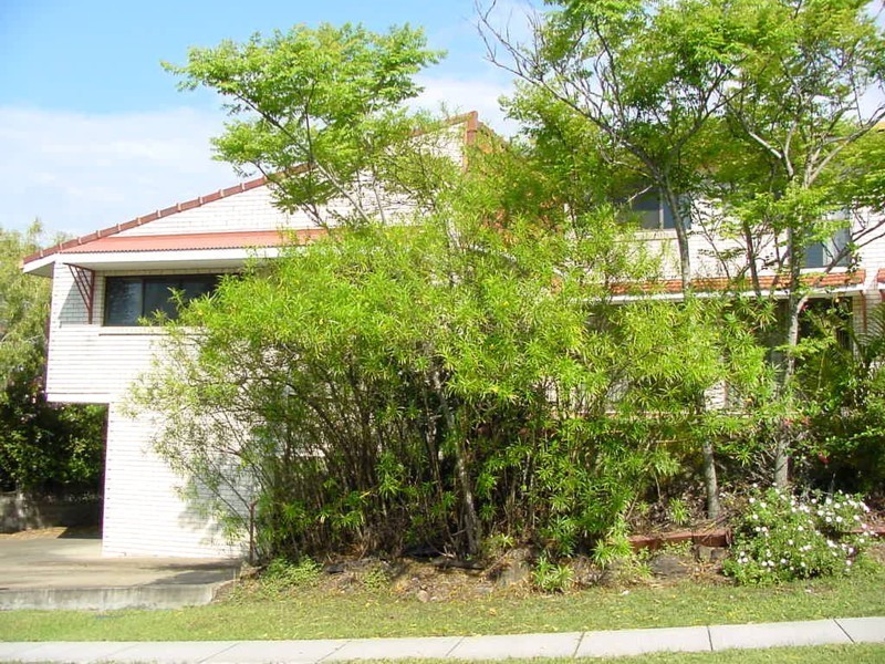 4/10  Gosford Street, Mount Gravatt QLD 4122