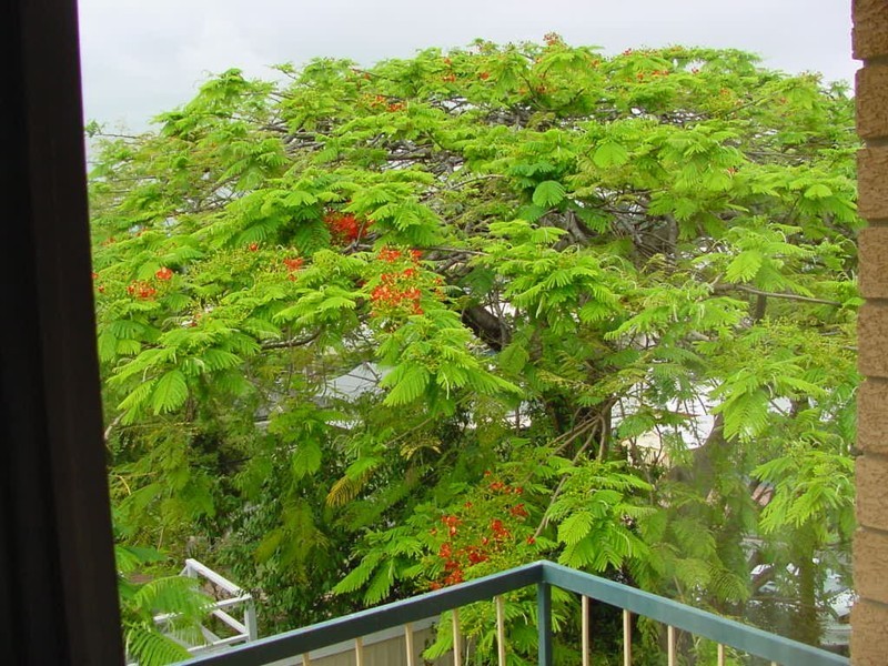 1/40  Raffles Street, Mount Gravatt East QLD 4122