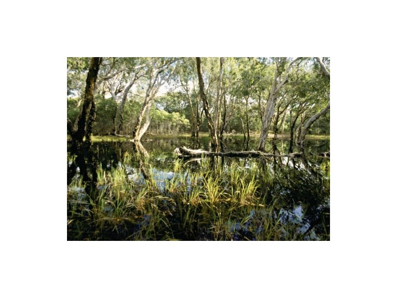 Curtis Island QLD 4680