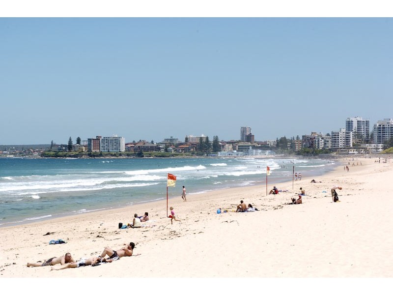 39  Mitchell Road, Cronulla NSW 2230