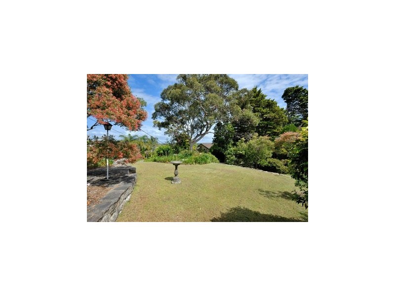 461 Willarong Road, Caringbah NSW 2229