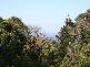 Mount Wilson NSW 2786