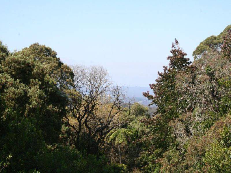 Mount Wilson NSW 2786