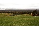 Kurrajong NSW 2758