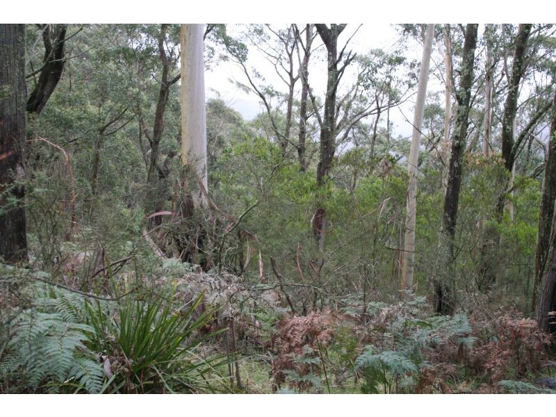 Mount Wilson NSW 2786