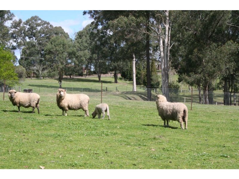 East Kurrajong NSW 2758