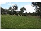 East Kurrajong NSW 2758