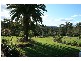 Grose Vale NSW 2753