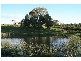 Grose Vale NSW 2753