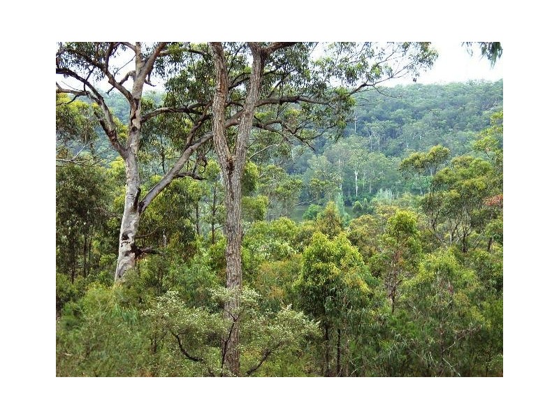 Sackville North NSW 2756