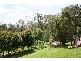 Bowen Mountain NSW 2753
