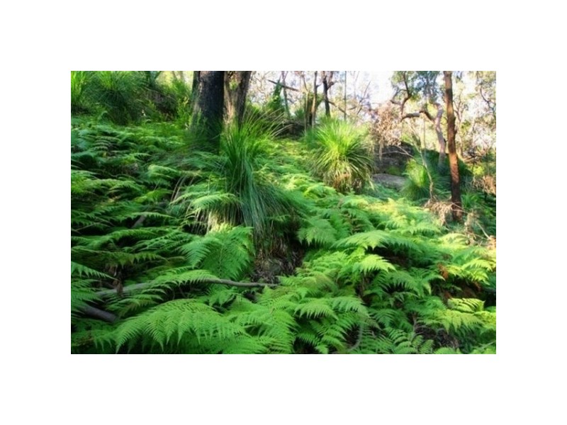 East Kurrajong NSW 2758