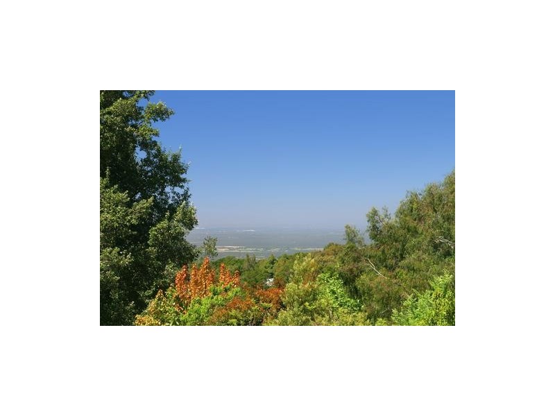 Kurrajong Heights NSW 2758