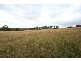 Grose Wold NSW 2753