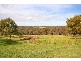 Kurrajong Hills NSW 2758