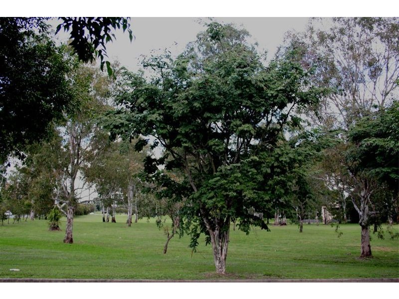 5 Gladstone Street, Oxley QLD 4075