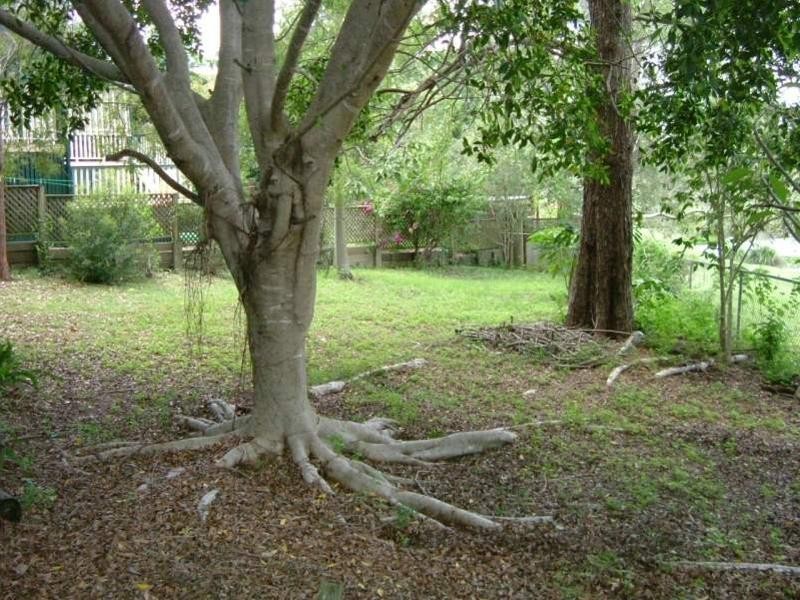 56 Dudley Street, Sherwood QLD 4075