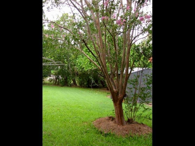 253 Cliveden Avenue, Oxley QLD 4075