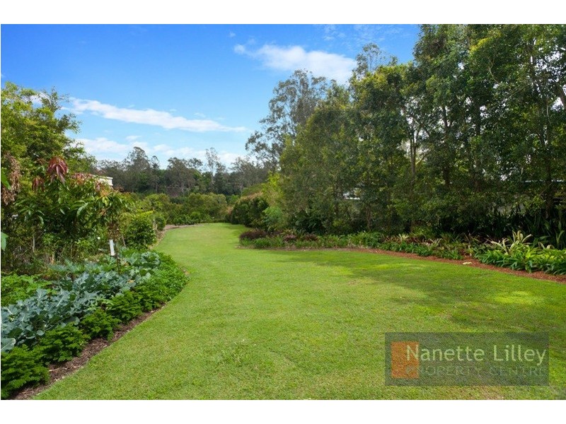 20 Douglas Street, Sherwood QLD 4075