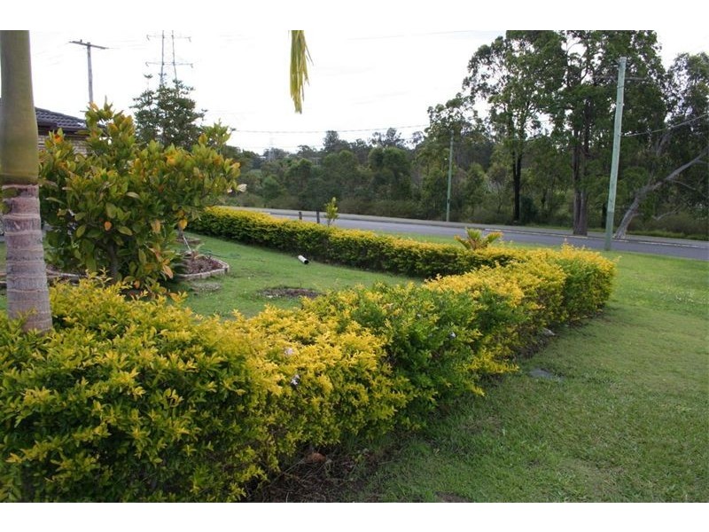 56 Yulan Street, Inala QLD 4077