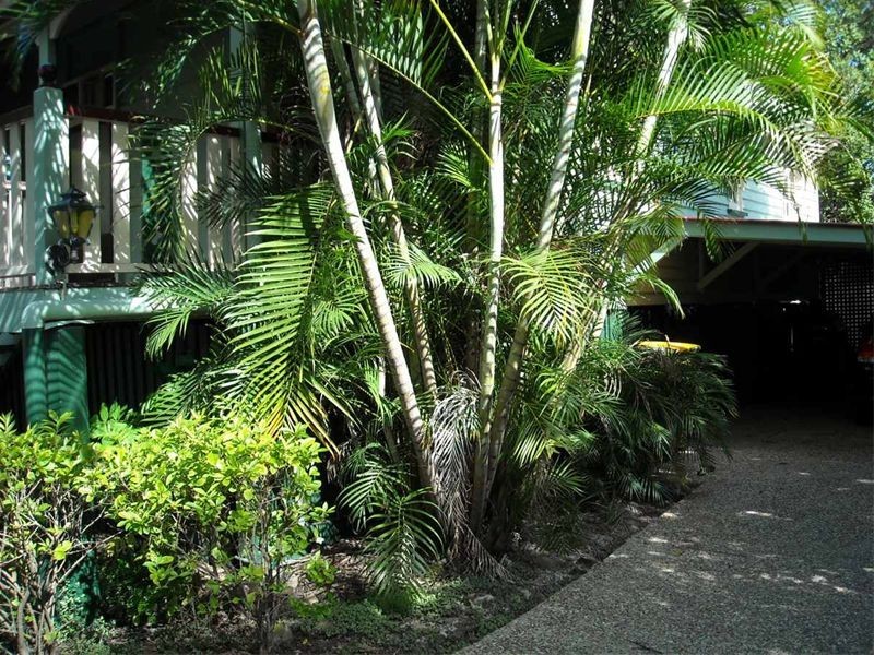 23 Strong Ave, Graceville QLD 4075