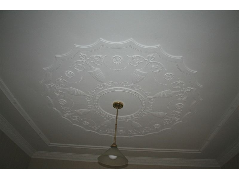 28 Bute Street, Sherwood QLD 4075