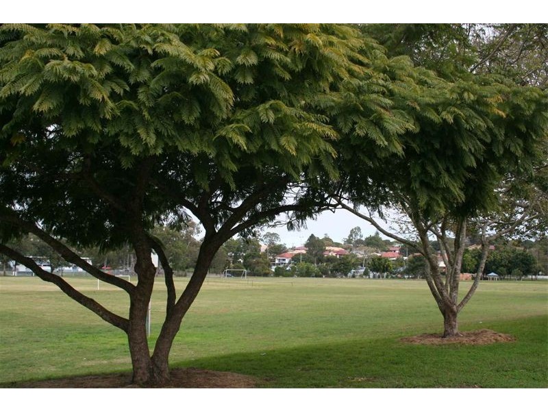 39  Turner Street, Corinda QLD 4075