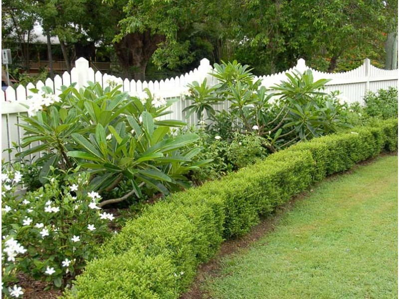 42 Molonga Terrace, Graceville QLD 4075