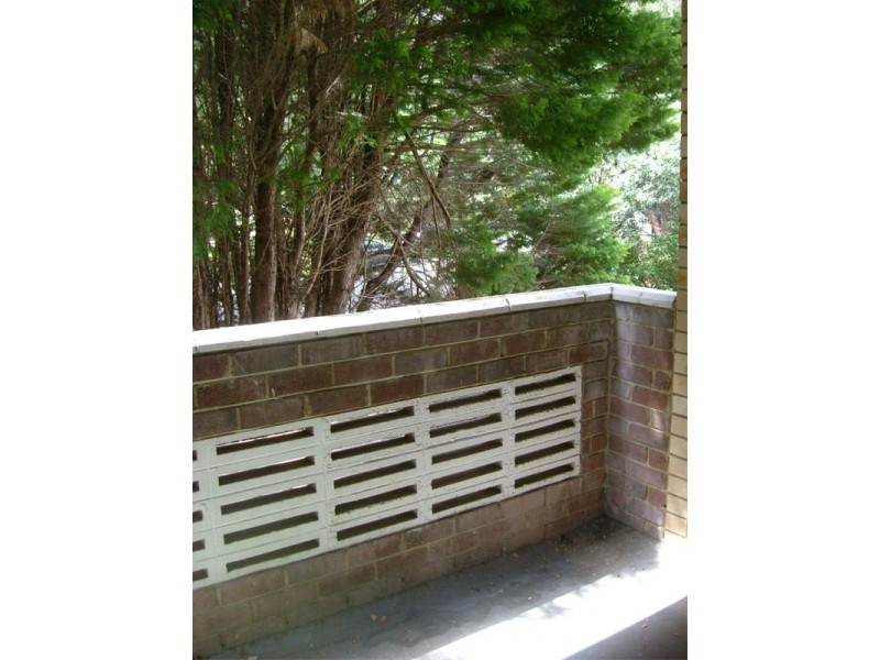 8/4 Murray Street, Lane Cove NSW 2066