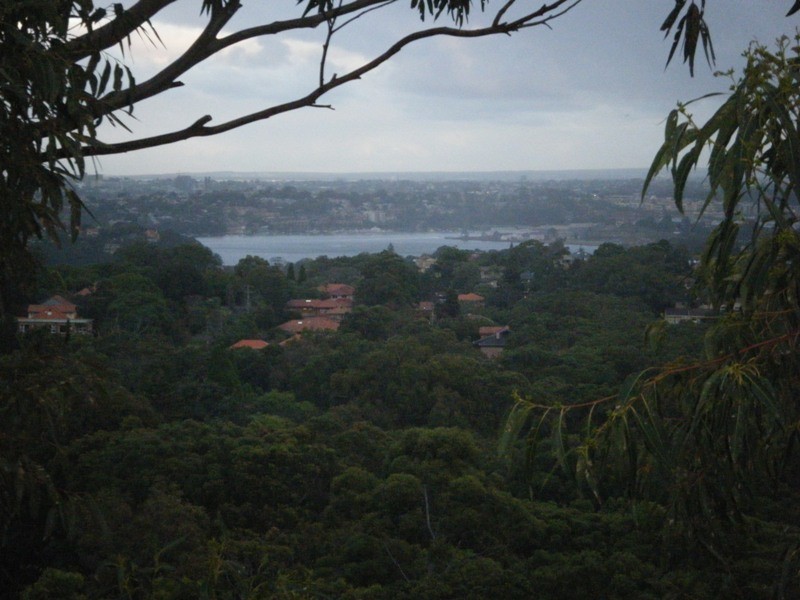 604/284 Pacific Highway, Artarmon NSW 2064