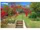 38 Austin Street, Lane Cove NSW 2066