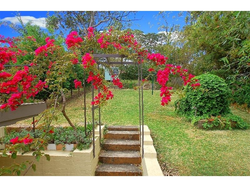 38 Austin Street, Lane Cove NSW 2066