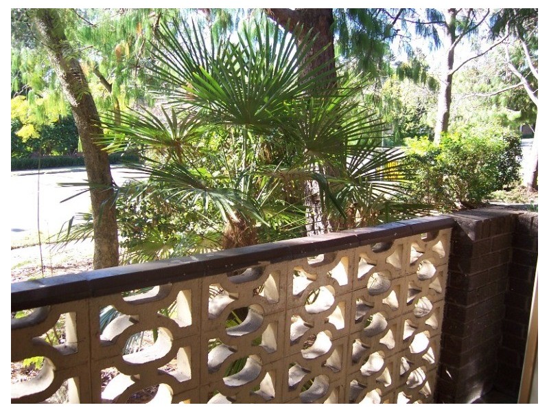 13/500 Mowbray Road, Lane Cove NSW 2066