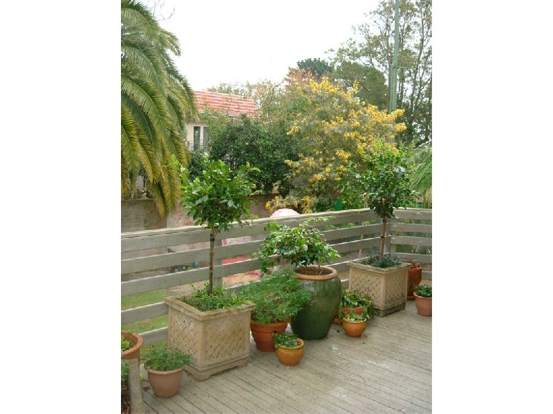 4  Robert Street, Greenwich NSW 2065