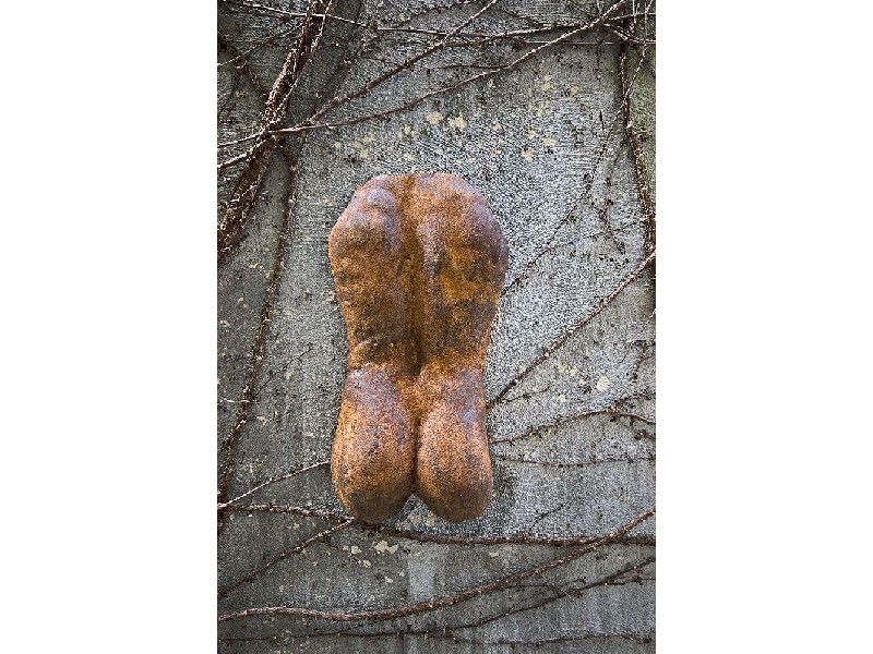 36a  Arabella Street, Longueville NSW 2066