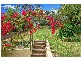38  Austin Street, Lane Cove NSW 2066